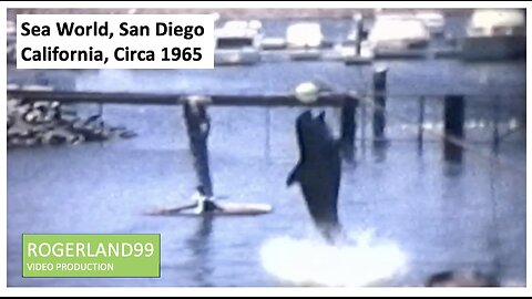 Sea World, San Diego, Circa 1965