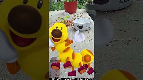 Wiggler Visits #Shorts