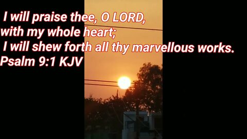 I WILL PRACE YOU LORD