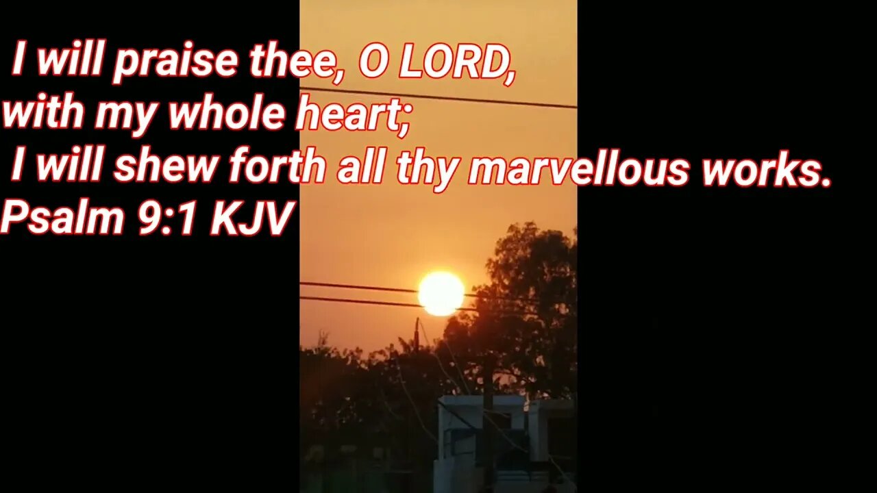 I WILL PRACE YOU LORD