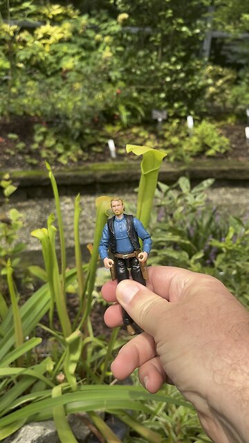 Lots of Dangers when you’re a tiny Cowboy