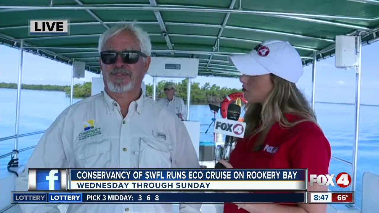 Eco-tours with Conservancy of Southwest Florida run weekly out of Rookery Bay