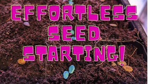 Large Seed Starting Simplified!