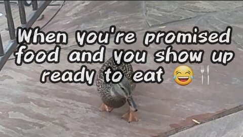 When you're promised food and you show up ready to eat 😂🍴