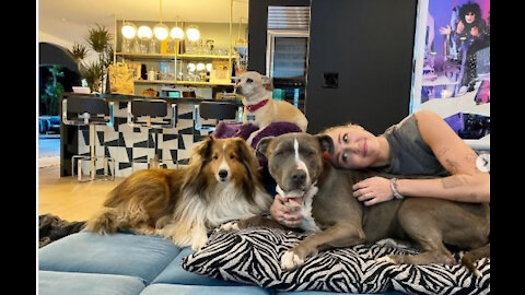 Miley Cyrus welcomes new dog, Angel
