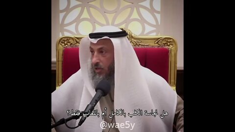 نجاسة الكلب بالكامل أم باللعاب فقط؟ | عثمان الخميس| Othman al Khamees