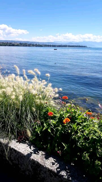 A walk in morges city in Switzerland