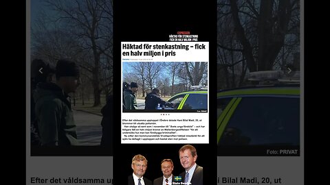 Häktad för Stenkastning men får 500 000 kr av Wallenberg 🤣