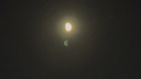 Another Lovely Half Moon 🌙