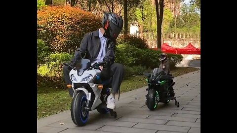 Please have a buddy who rides with you too cool, funny cat