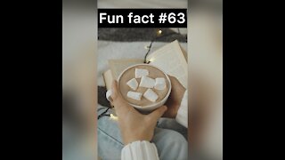 Americans buy how many pounds of marshmallows?
