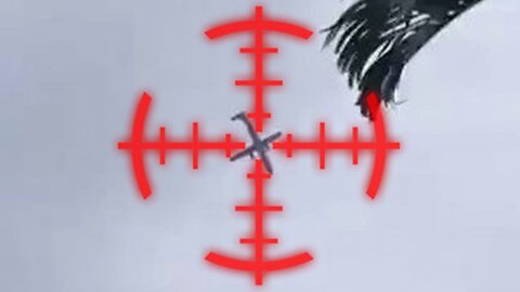 VladTalks | Plane Sight | LOC