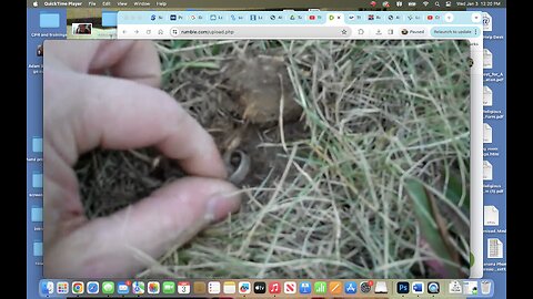 Season 2 , 97th hunt of 2012, finding 2 more rings