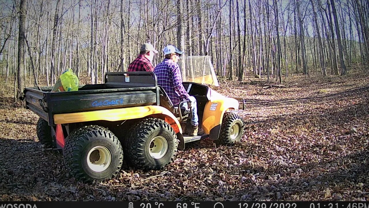 Trailcams December and January
