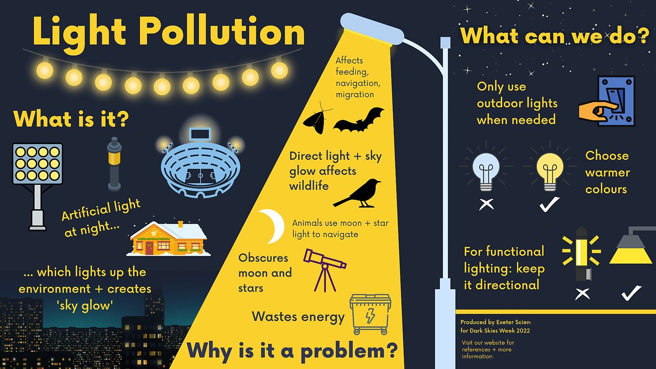 Night Light Pollution Linked to Alzheimers Risk - RevelHealth Care