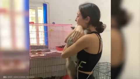 Animals Reunited With Owner After Years !-9