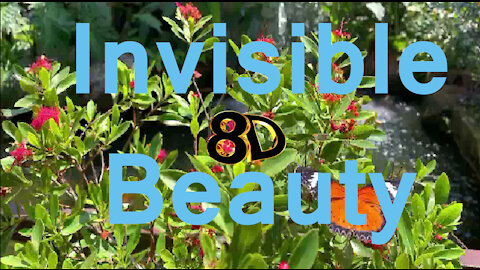 8D Romantic Music ***Invisible Beauty