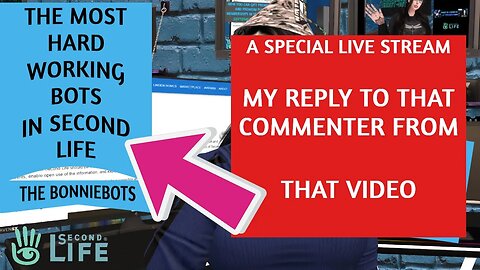 Those Second Life Bonnie Bots: A video reply to that special commenter.