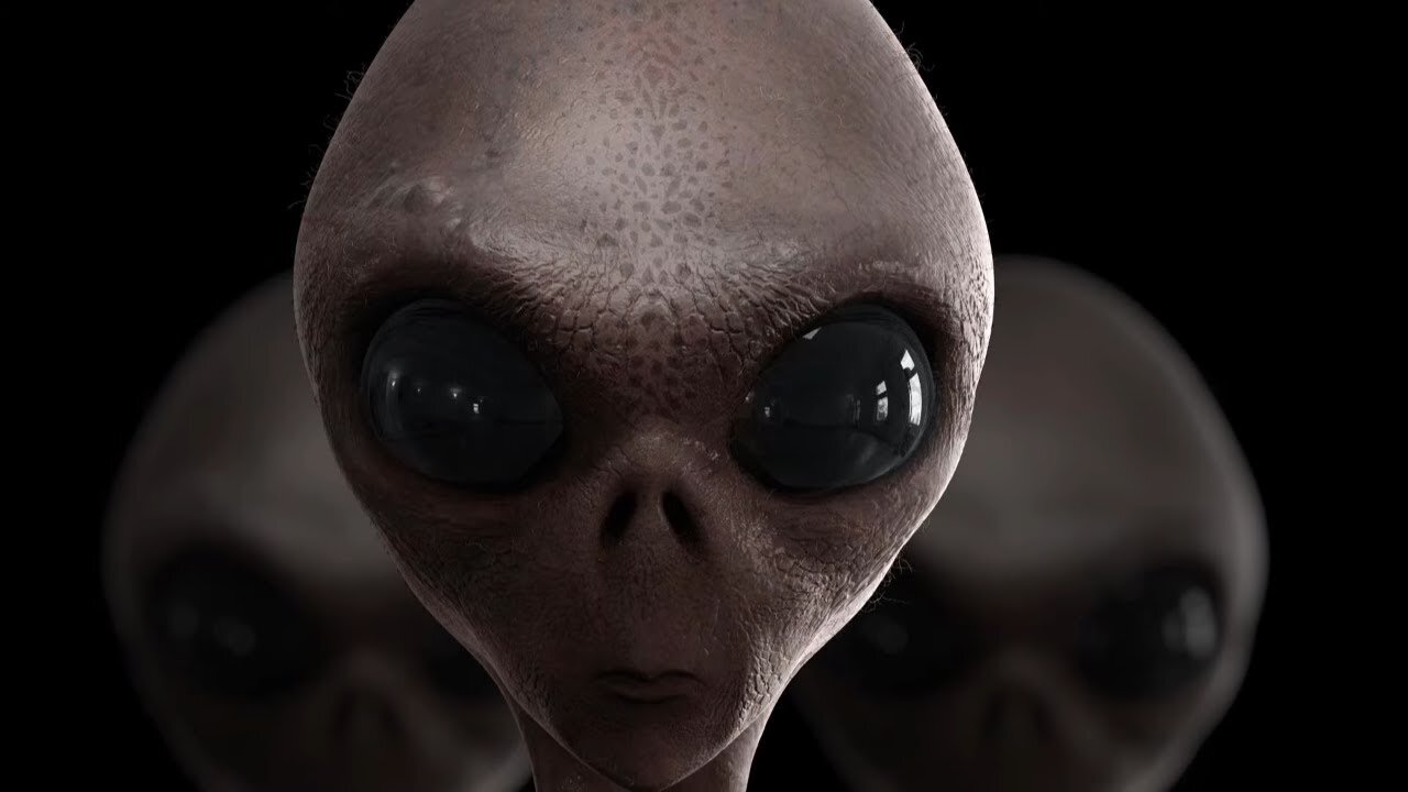 Greys, Humanoid, Mantid, & More... | Ben Stewart Podcast Clips