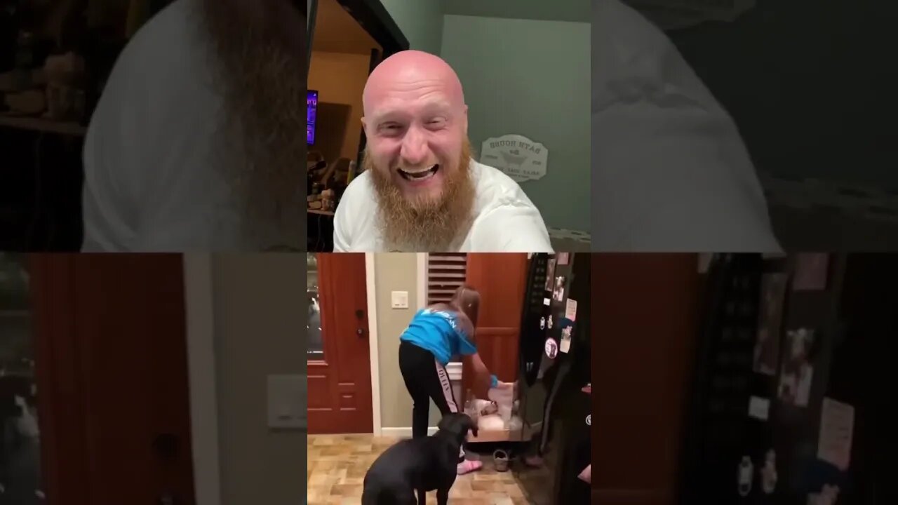 #duet with @BellaB #dog