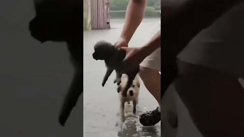 I Got You