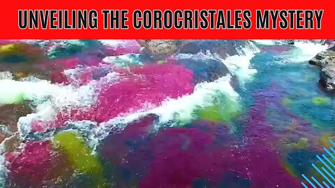 Unveiling the COROCRISTALES Mystery