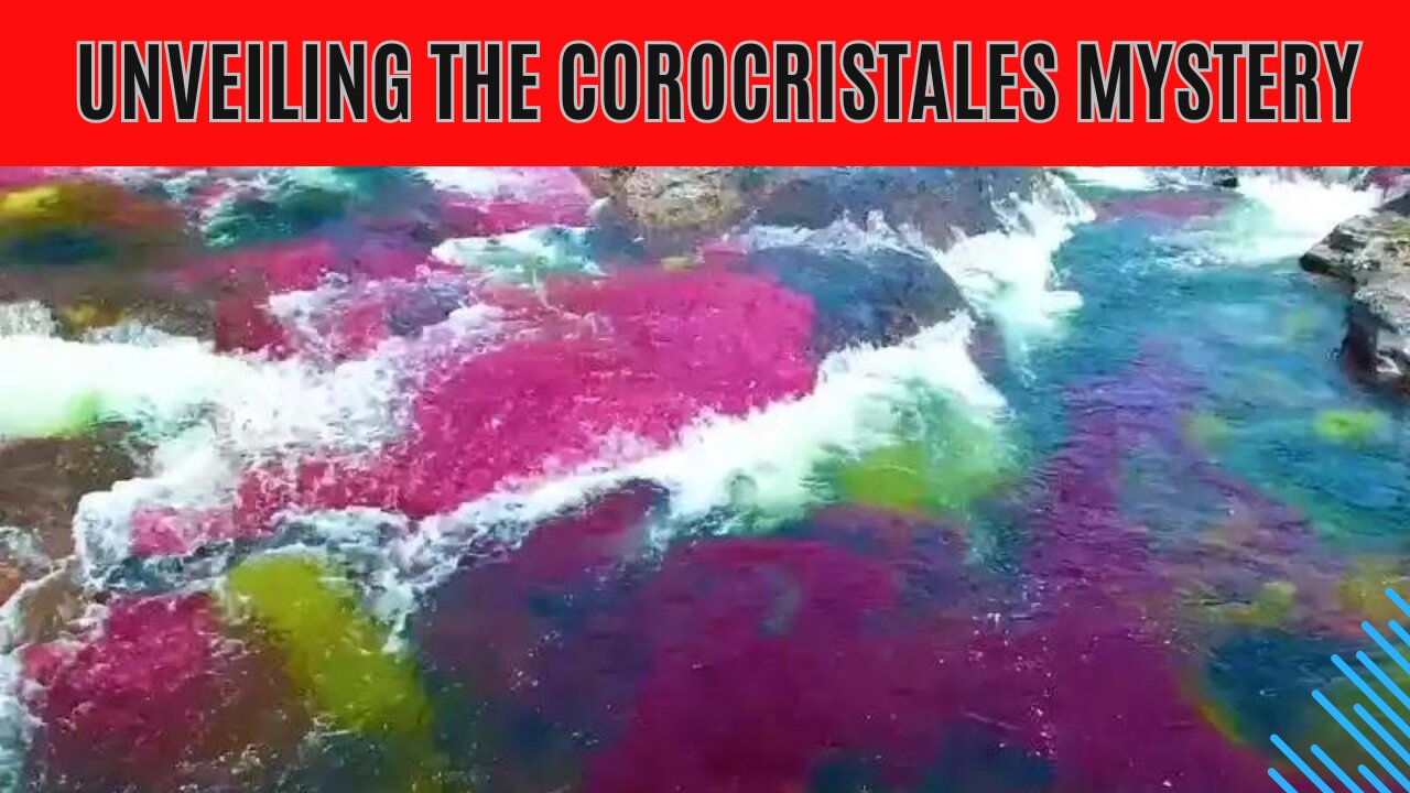 Unveiling the COROCRISTALES Mystery