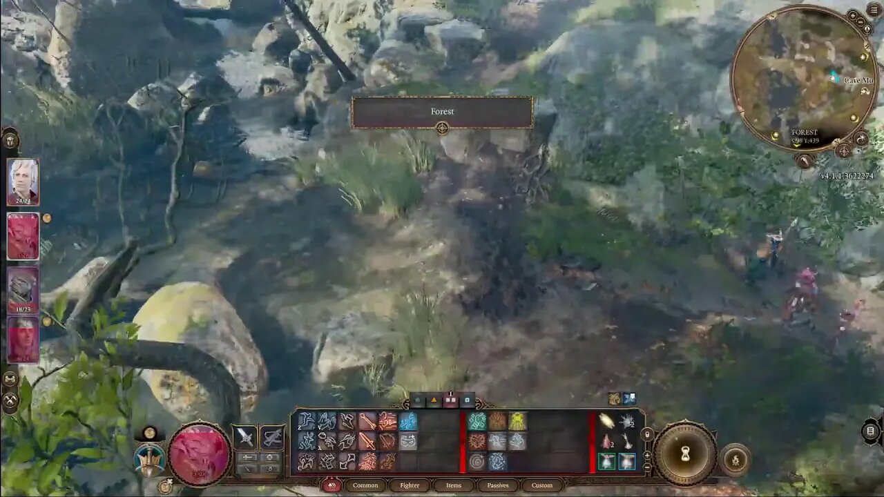 Baldur's Gate 3 Blind With Pink And Tig