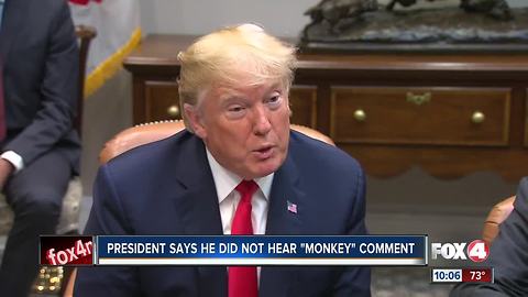 DeSantis under fire for monkey comment
