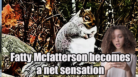 Maine's Fatty McFatterson Squirrel🐿 Becomes Nets' Next Sensation🥜