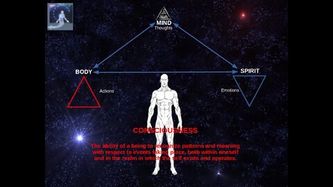 Consciousness, the Human Brain and Behaviour