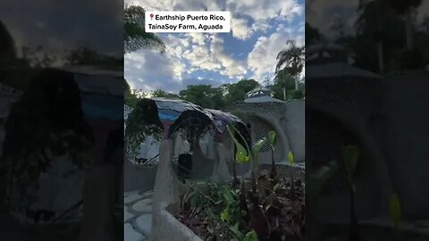 Earthship Puerto Rico @ Tainasoy Apiario