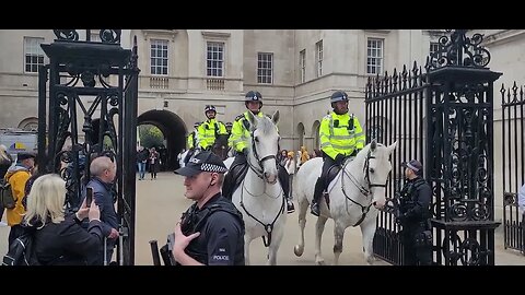 Majestic police horses #horseguardsparade