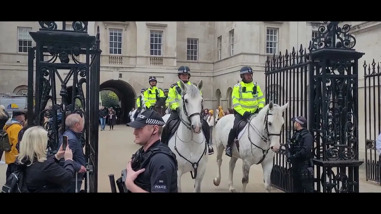 Majestic police horses #horseguardsparade
