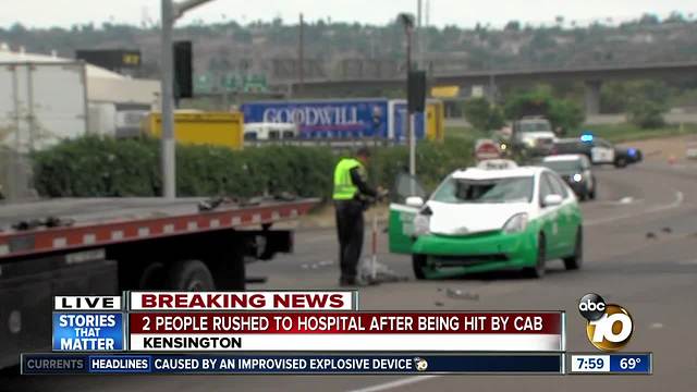 Dog killed, two people injured after being hit by taxi