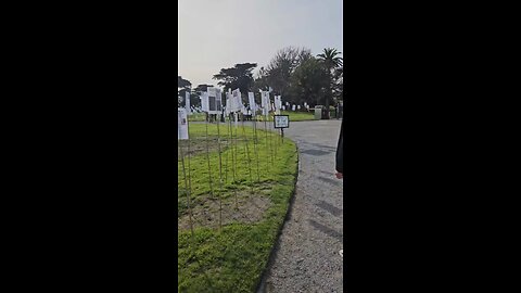 Forest of the Fallen, Catani Gardens, St Kilda West 4.8.24