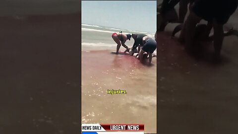 Shark Attacks Strike Texas Beach as Sleazy Salutes John Williams