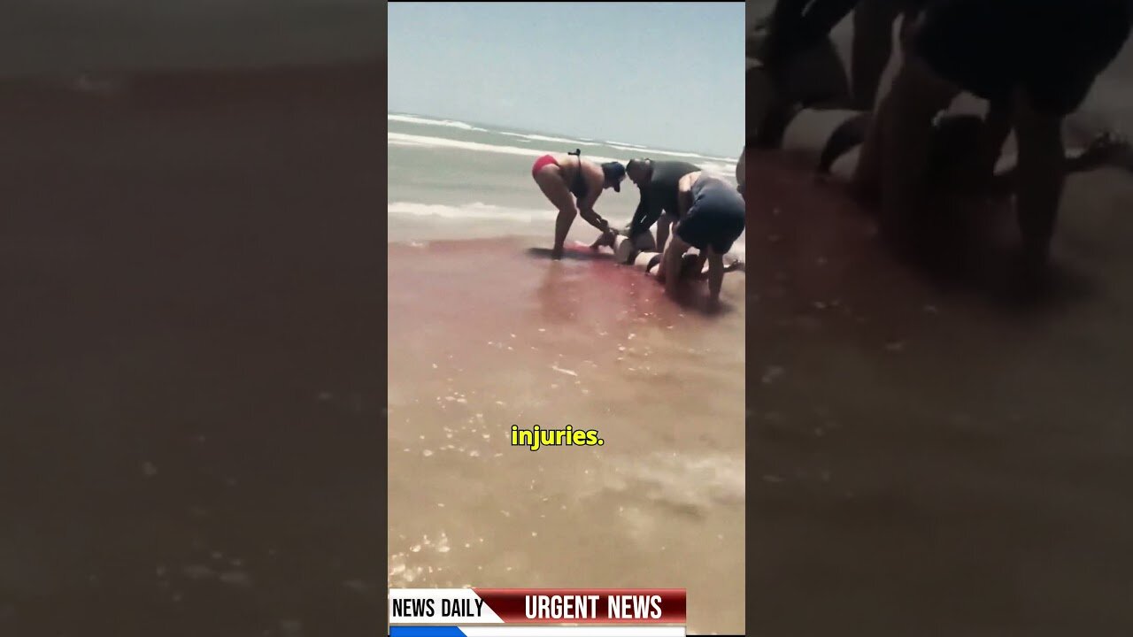 Shark Attacks Strike Texas Beach as Sleazy Salutes John Williams