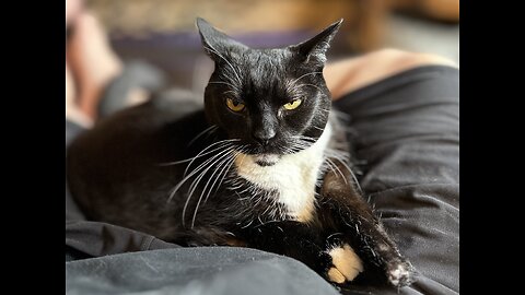 Xena Baby Girl!
