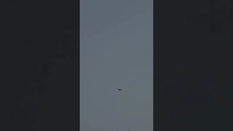 large bird #shorts