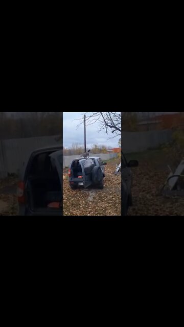 эти приколы искали все / приколы 2022 / приколы 2022 тик ток / тик ток приколы смотреть