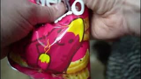 Sweet Potato Snack crisps are a so-so for hens. Premium backup treat plan activated.