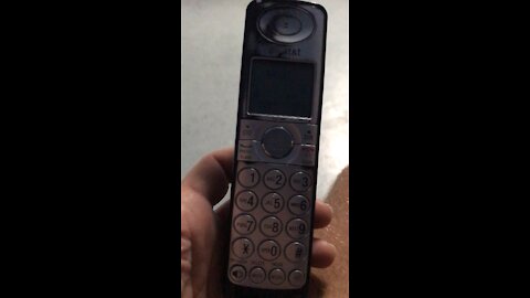 Pfizer Finally Updated Their Phone System