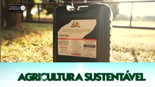 Agricultura Sustentável - com Frederico Olivi