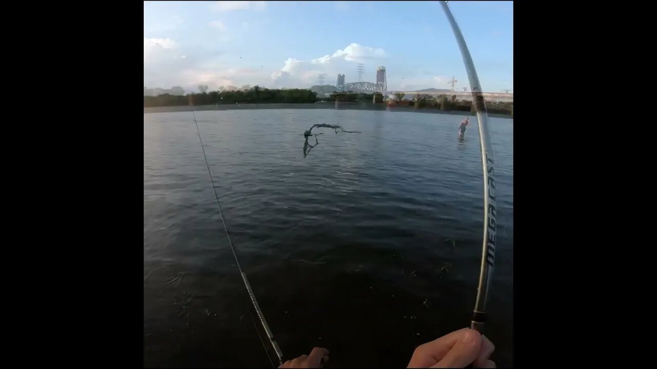catching a bass on a shiner in the Tennessee river