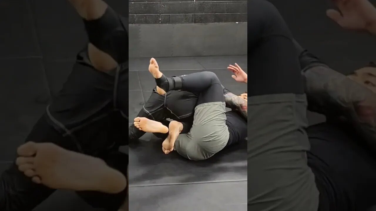 Reverse Z Guard to Guard Pass or Saddle #bjj #jiujitsu #nogi