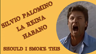 60 SECOND CIGAR REVIEW - Silvio Palomino La Rena Habano
