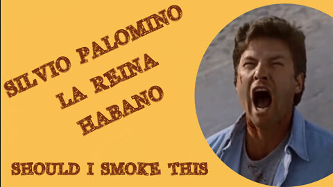 60 SECOND CIGAR REVIEW - Silvio Palomino La Rena Habano