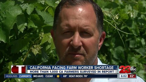 California reportedly facing farm worker shortage