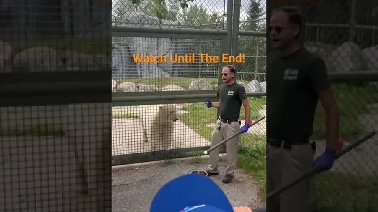 You can never truly please a woman. Juno the Polar Bear at Toronto Zoo shows her true colors.